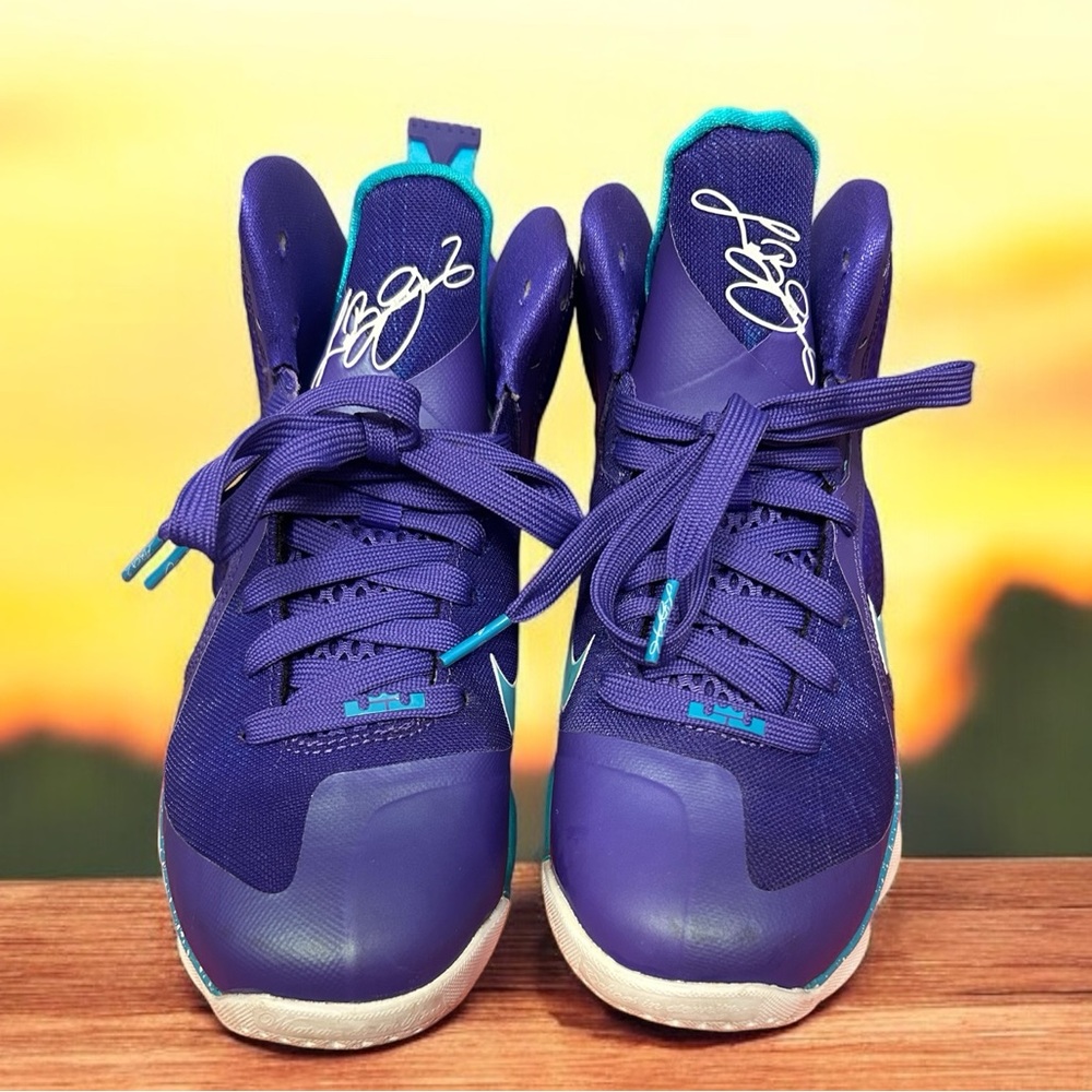Lebron 9 Hornets